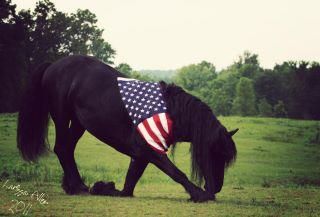 blackhorseandflag.jpg